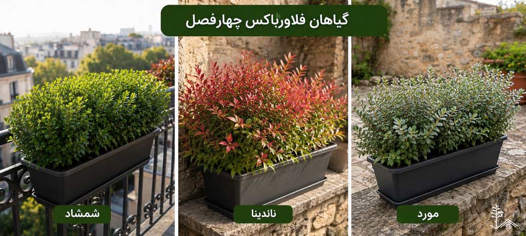 گیاهان فلاورباکس مناسب چهارفصل