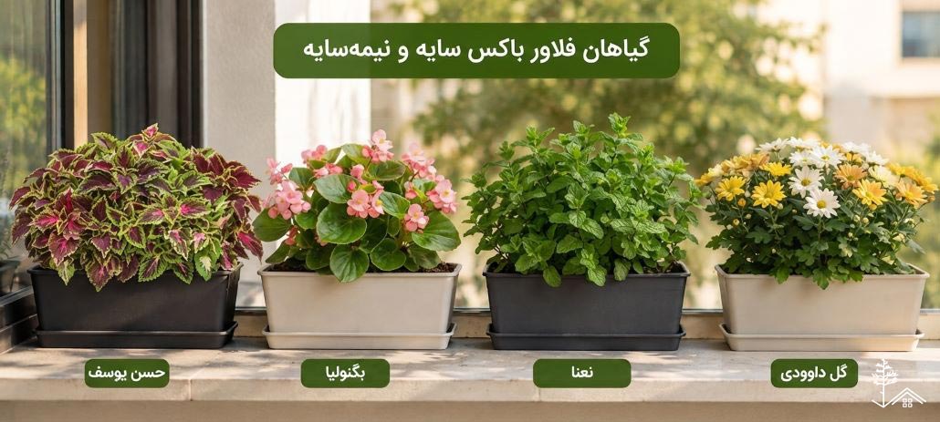 گیاهان فلاور باکس سایه و نیمه&zwnj;سایه