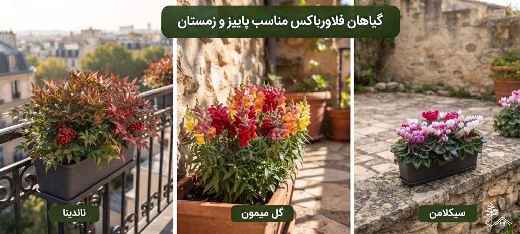 گیاهان فلاورباکس مناسب پاییز و زمستان