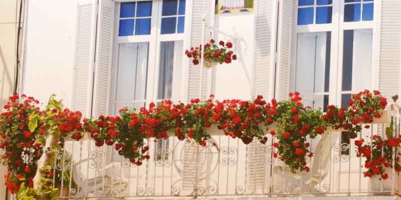 اجرای فلاور باکس در مشهد